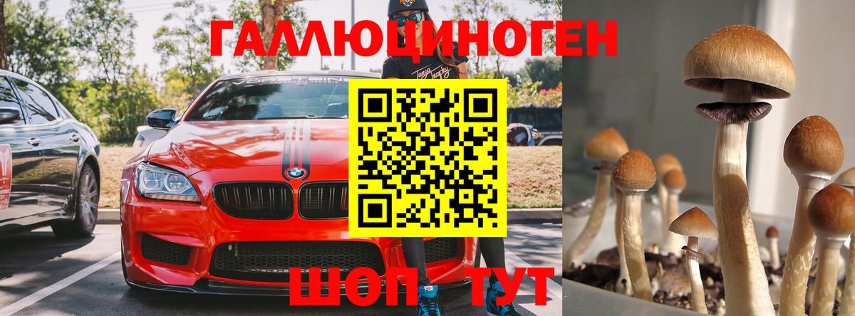 Новодвинск  Псилоцибиновые грибы GOLDEN TEACHER  Галлюциногенные грибы прущие грибы  продажа наркотиков  Вход с VPN 