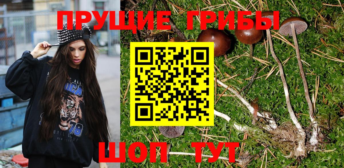 ГАШИШ Новодвинск